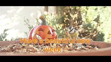 Have a beautiful new week  !