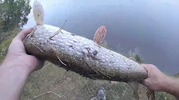 Кастинговый Major Craft FirstCast FCC-662M кренк EVERGREEN cr-6 ловля щуки сентябрь 2019
