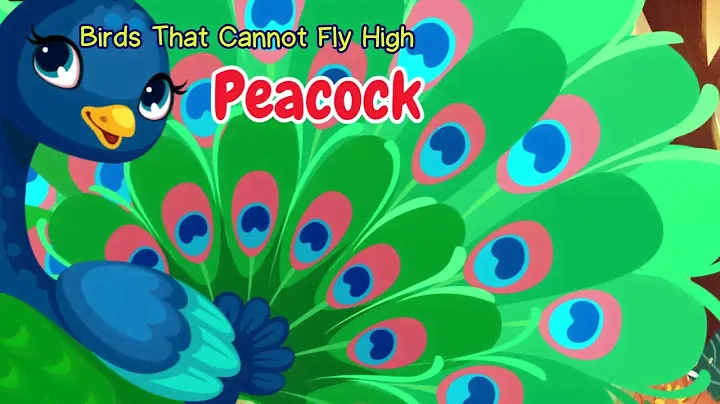 Birds that can't fly | Kids educational | videos Learn Flightless Birds Name | Non Flying Birds