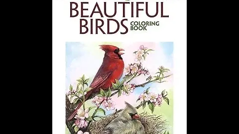 Flip Through Creative Haven Beautiful Birds Coloring Book by Dot Barlowe
