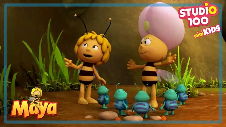 All help is needed - Maya the bee - Studio100 miniKIDS 🍯🐝🍯