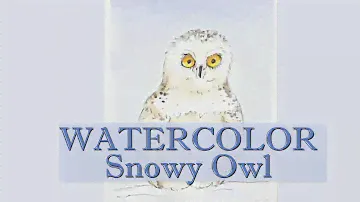 Real Time Paint a Cute Snowy Owl - How to Draw Watercolor Step By Step