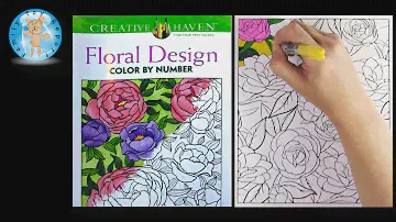 Creative Haven Floral Design Adult Coloring Book Review Color by Number Roses - Family Toy Report