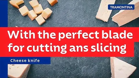 Cheese Knife, the ideal choice for cutting soft and semi-hard cheeses | Tramontina
