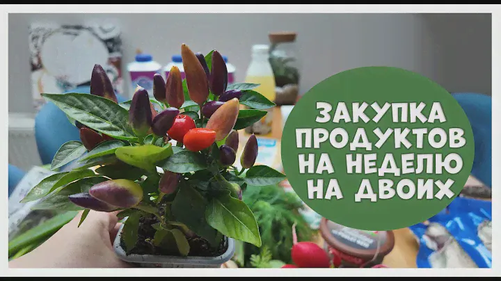 Закупка продуктов на неделю #25 2024