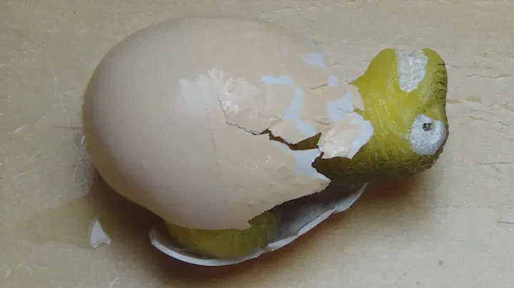 Hatching Dinosaur [Hateh'em Surprise Egg]